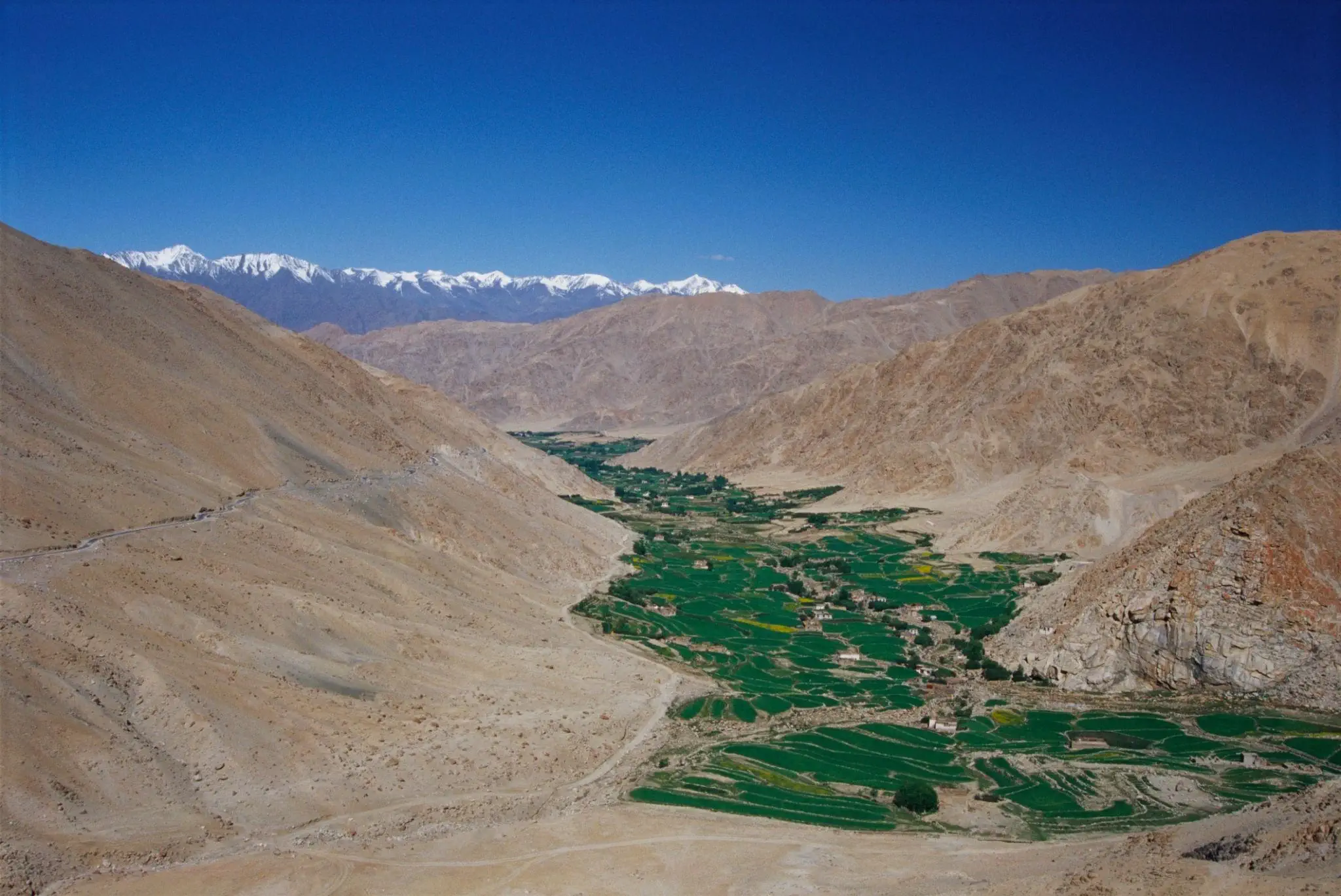 Changa Village