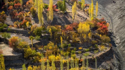 Dah Village