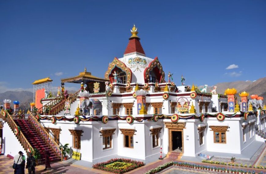 Hemis Monestry ladakh