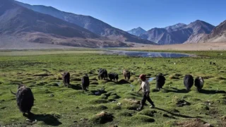 Kargyam Village