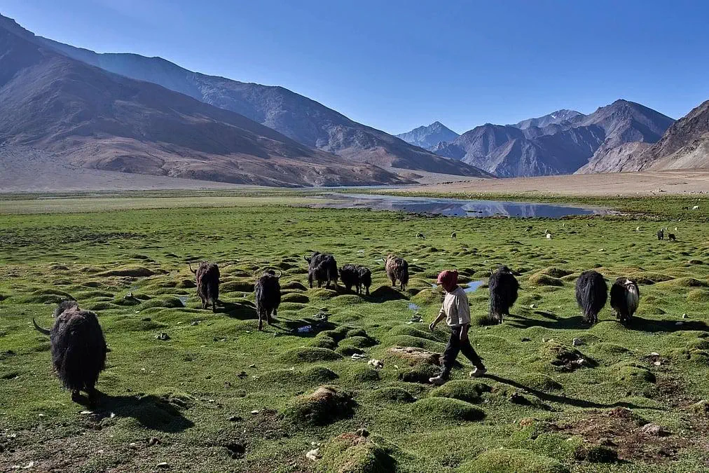 Kargyam Village