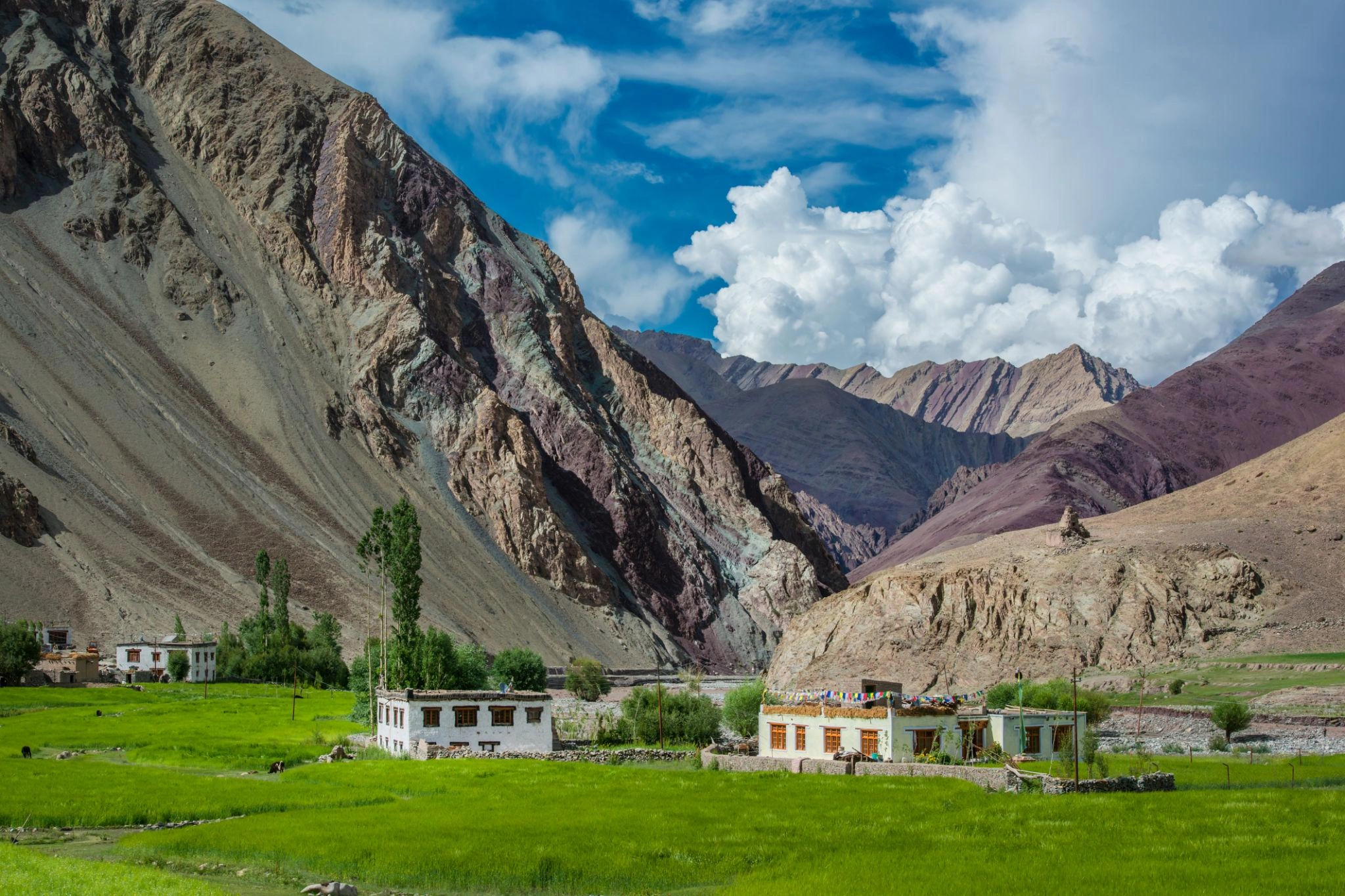 Leh Dho Village