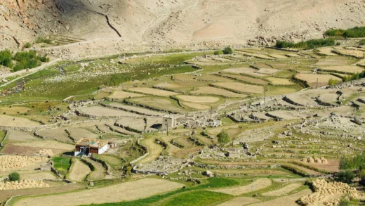 Ney Village