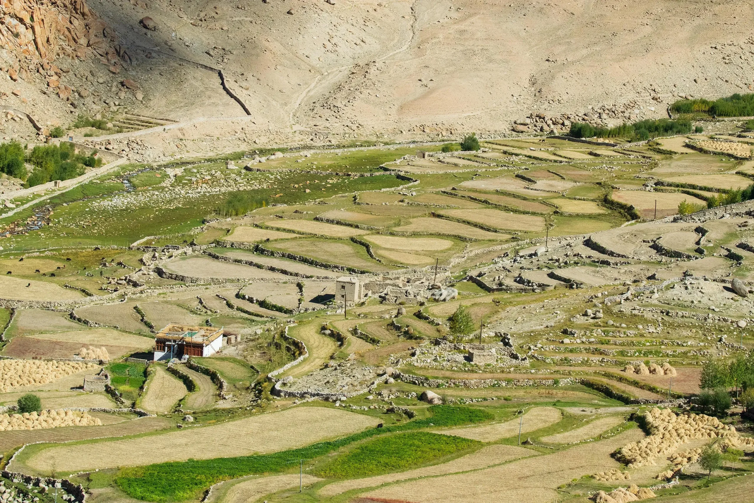 Ney Village