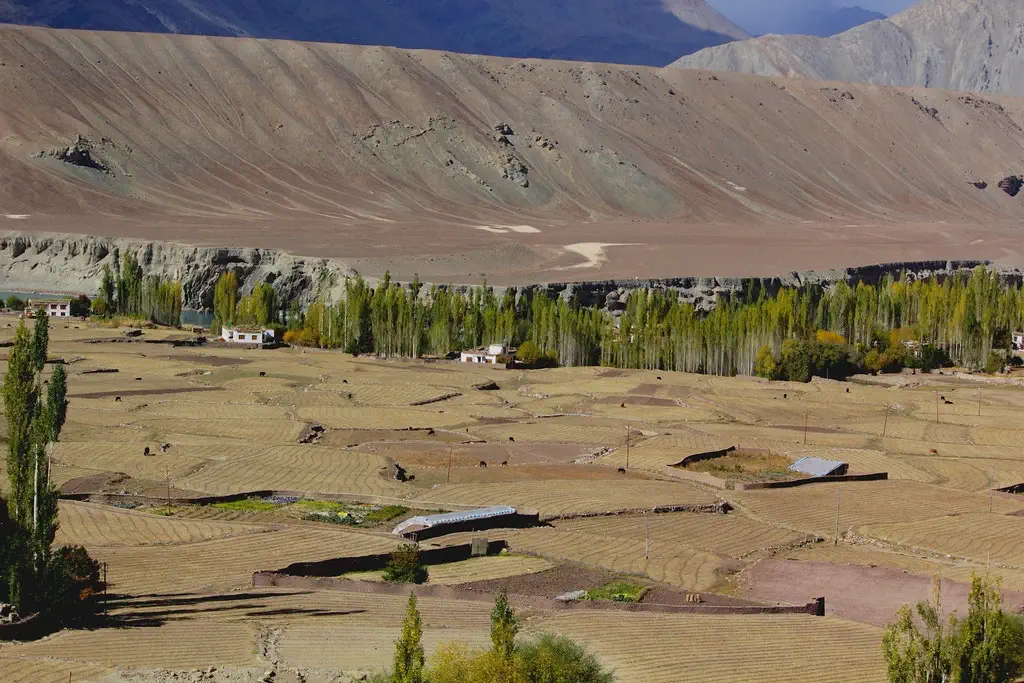 Nimo Village