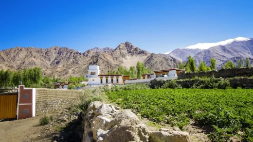 Saboo Village