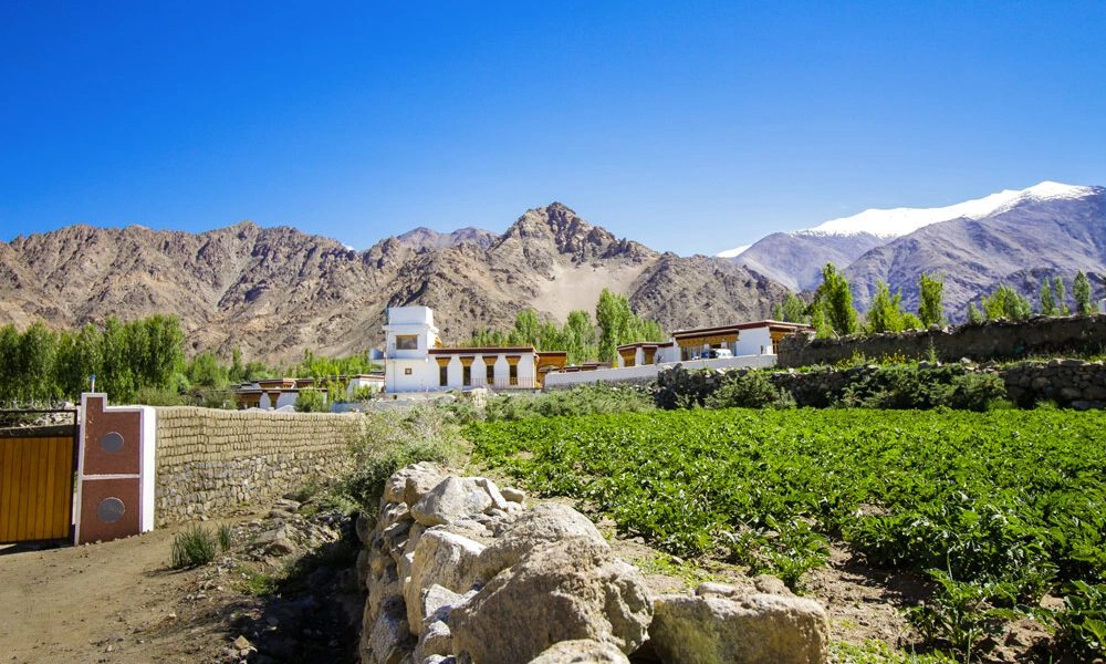 Saboo Village