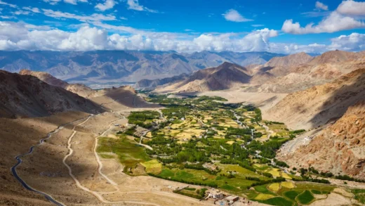Sharnose Village