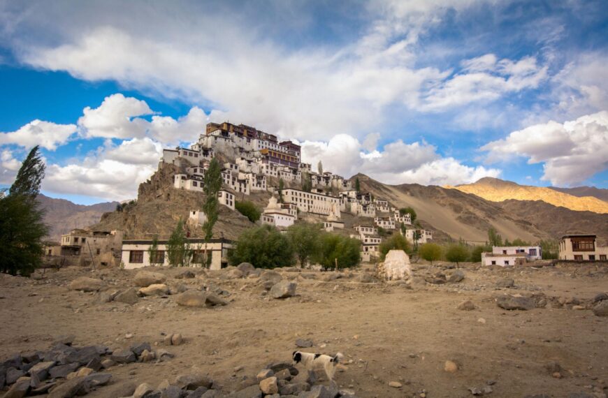 Shey Village Ladakh
