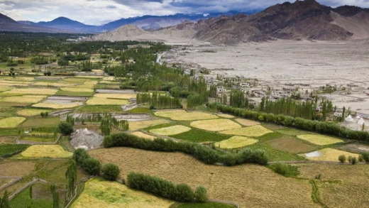 Tia Village