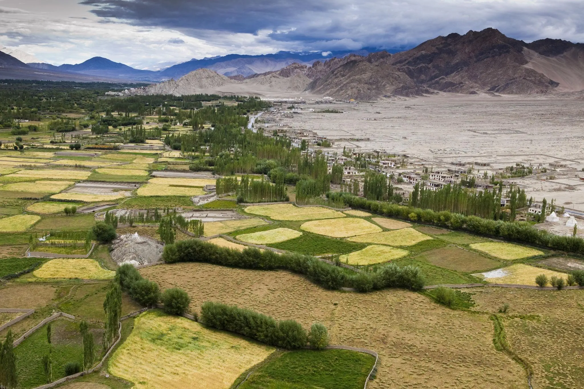 Tia Village