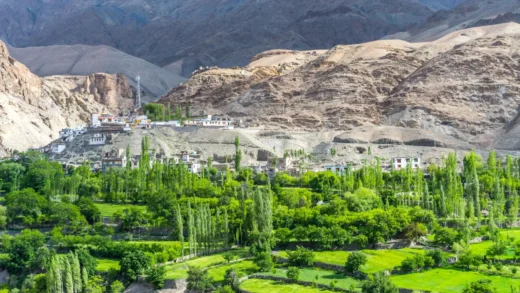 Warisfistan Village