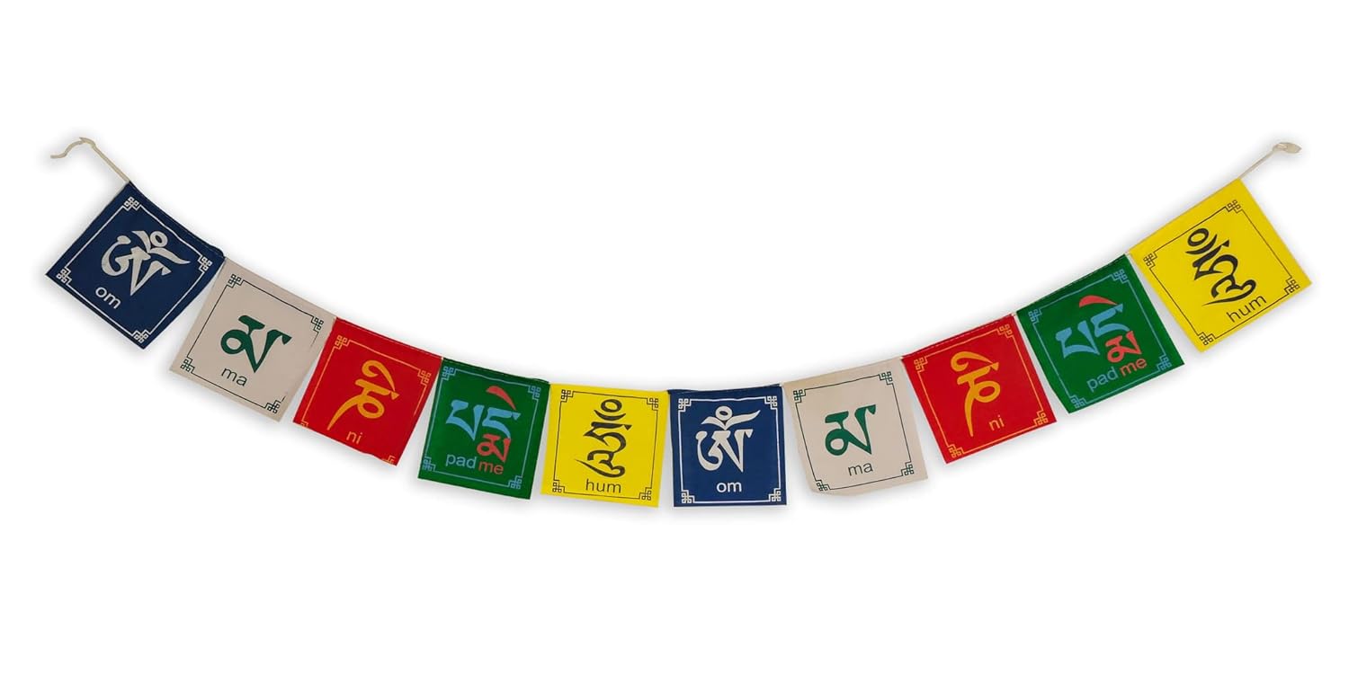 Ladakh edition flags