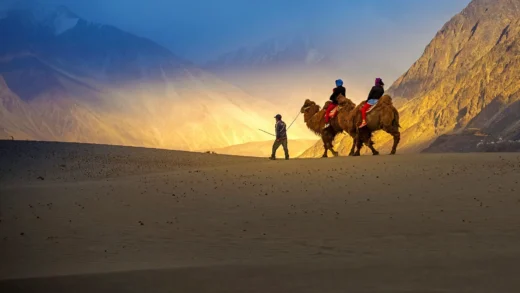 Nubra Valley Ladakh