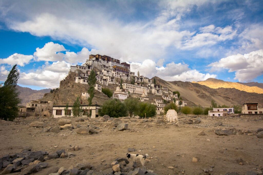 Shey Village Ladakh