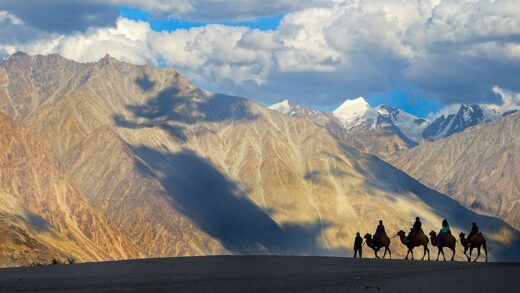 camel-ride-hunder-sand-dunes-nubra-valley