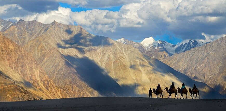 camel-ride-hunder-sand-dunes-nubra-valley