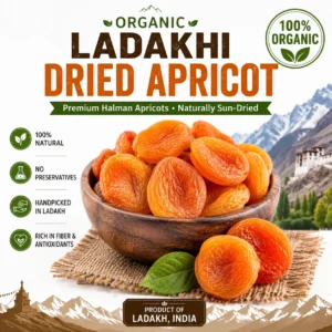 organic-ladakhi-dried-apricot-halman-apricots-ladakh